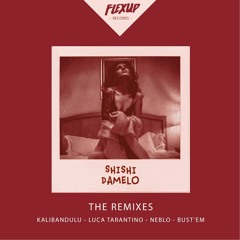 ShiShi - Damelo (Bust'Em Remix)