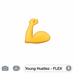FLEX