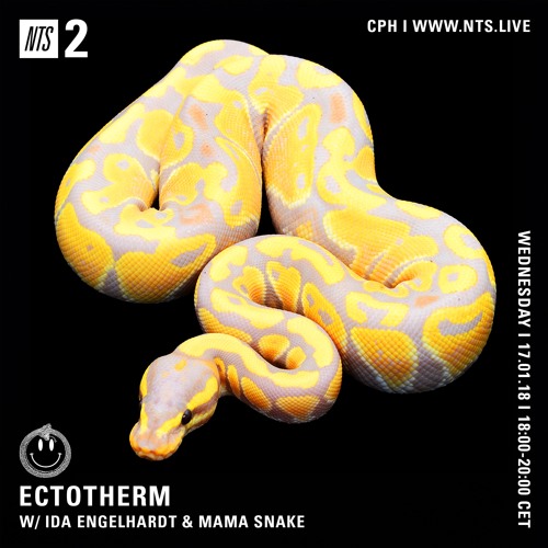 NTS Radio x Ectotherm 17.01.18 - Ida Engelhardt