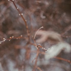 Gallery Six - Snow Light (Album Snippets)