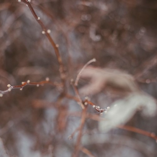 Gallery Six - Snow Light (Album Snippets)