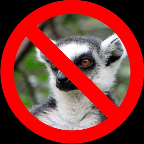 Not a Lemur (feat. Jumps)