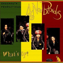 4 Non Blondes - What´s Up ReggaE RemiX