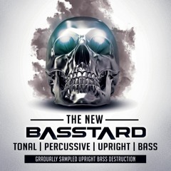 8Dio The New Basstard: "His Vision" by Troels Folmann