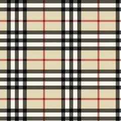 plug 21 snippit** prod keys206