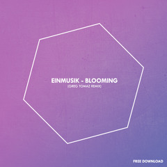 FREE DOWNLOAD || Einmusik - Blooming (Greg Tomaz Remix)