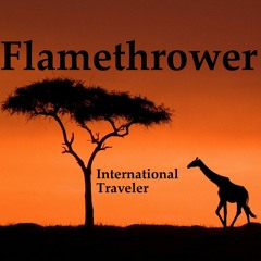 International Traveler