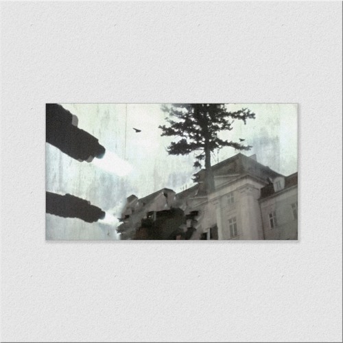 this rain