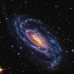 Journey Through The Gravity Of Light