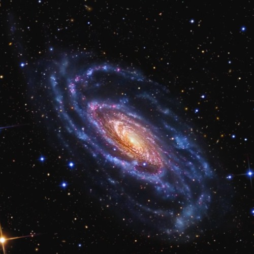 Journey Through The Gravity Of Light