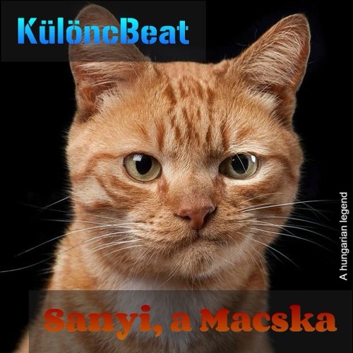 Stream Sanyi, a Macska by KülöncBeat | Listen online for free on SoundCloud