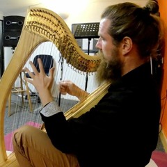 Gareth Wilkins - Harp Meditation No 3