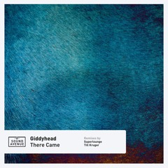PREMIERE: Giddyhead - There Came (Till Krüger's Happy Hifi Mix) [Sound Avenue]