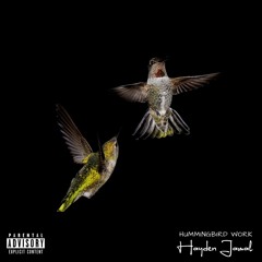 Hummingbird Work (Prod. By High Flown)