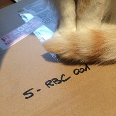 RBC001: WavWavWav – Ad Astra / Inner Train [Clips]