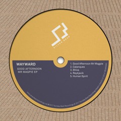 PREMIERE: Wayward - Shiva [Silver Bear Recordings]