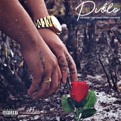 The Rose that Grew From Concrete