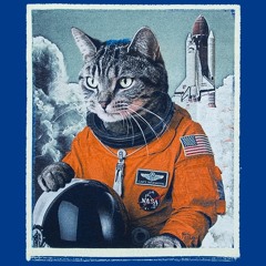Ctrl4lt5upr - Lost My Cat In Space 🙀 (2018)
