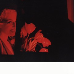 Song Of The High Wire