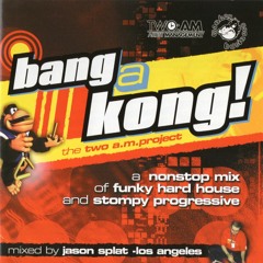 Bang a Kong • Funky House & Scratching 1999