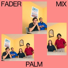 FADER Mix: Palm
