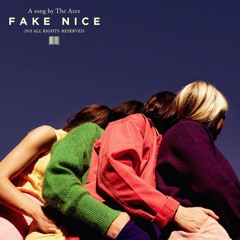The Aces - Fake Nice
