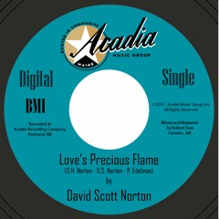 Love's Precious Flame - Single