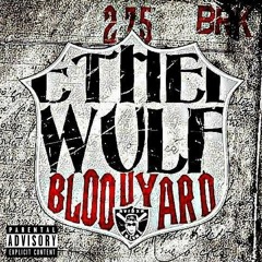 Xavier Wulf - 2.7.5.