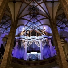 Wer Nur Den Lieben Gott Freiberger Dom