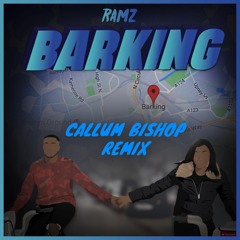 Ramz - Barking (Callum Bishop Remix)