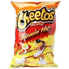 flamin' hot cheetos (prod. by Tama Gucci) *cover*