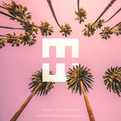 Hedegaard - Ready To Love You (David Egebjerg & Alex Walk Remix)