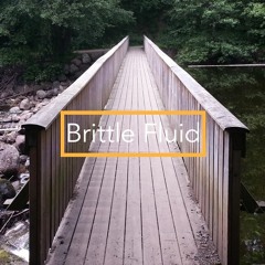 Brittle Fluid (2014) for 14 strings - Premiere