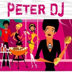 PETER DJ ZingarAction (Salamella Mix)