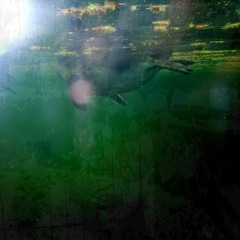 Balcony of the stars