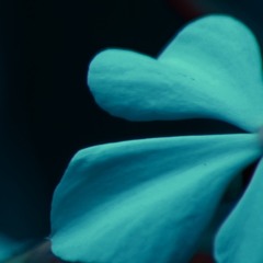 Robbie Grier - Sweethearts Have No Vacancy (Instrumental)