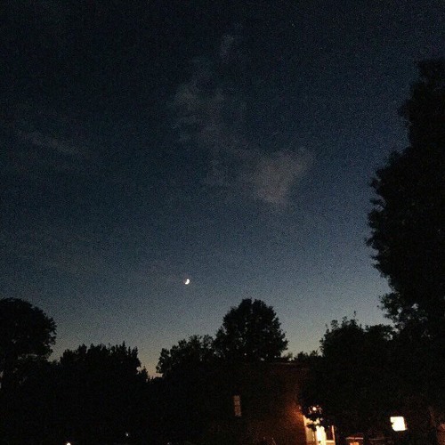 forever alone in darkness