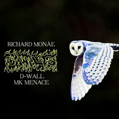 Richard Monáe & D-Wall - "Owls" (feat. MK Menace)