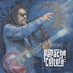 I'm Not Bad - Panache Culture (Piano)