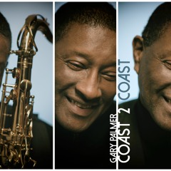 12- Land Of The Sun - Gary Palmer Feat - Paul Brown