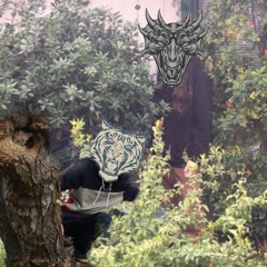 $LUMPTY DUMPTY x STRXWBERRY MILOSH - CROUCHING TIGER HIDDEN DRAGON