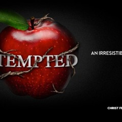 Temptations (Ft. The One & The Wolf)