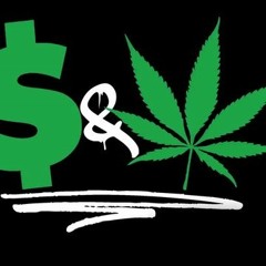 Guap On Repeat - S.C.D.