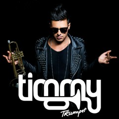 Timmy Trumpet Mix