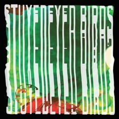 Stuyedeyed - Believer