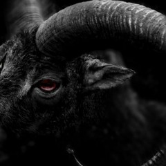 G.O.A.T -FEAT.Patient X | Reeves