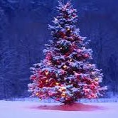 All I Want For Christmas Is You - Micheal Buble Cover