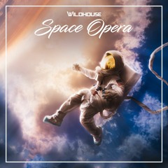 Wildhouse - Space Opera (Original Mix)