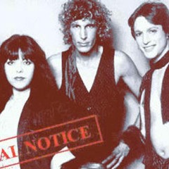 Fantasy Lover - Nita Neets / Final Notice