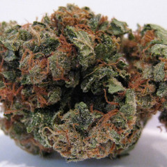 brokush002 - to heck with that woman